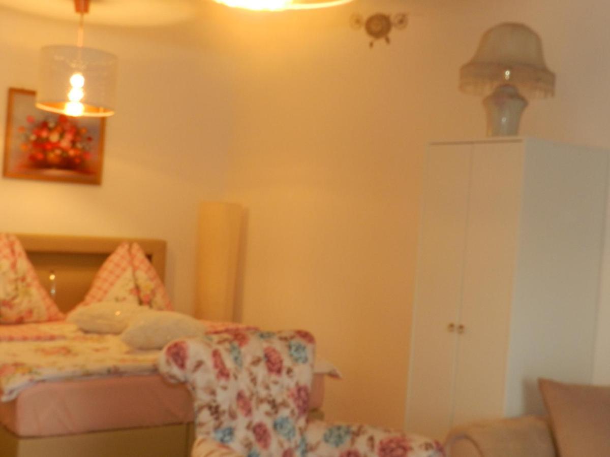 Klassik And Sunny Apartment! ウィーン エクステリア 写真